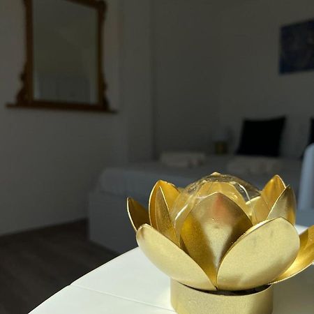 Fior Di Loto Suite - Lingotto 都灵 外观 照片